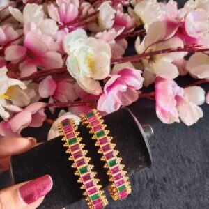 Simple Designer Stone Bangles (2 nos)